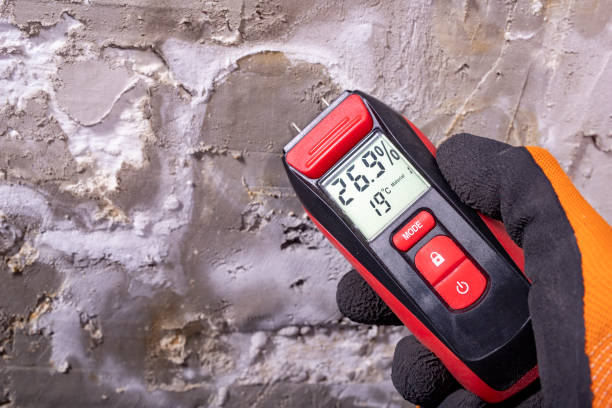 Best Toxic Mold Removal  in Colfax, WA