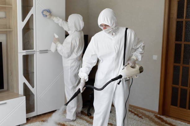 Certified Mold Removal in Colfax, WA