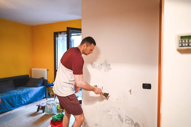 Best Fast Mold Removal  in Colfax, WA