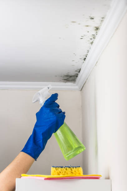 Best Emergency Mold Removal  in Colfax, WA