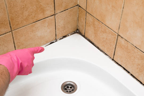 Best Mold Cleaning Services  in Colfax, WA